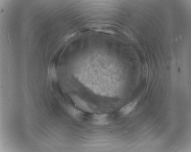 X0000071950143200607282017