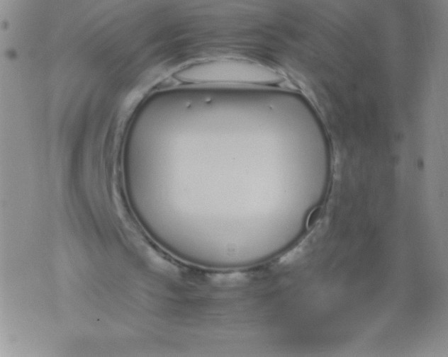 X0000071950145200607282017