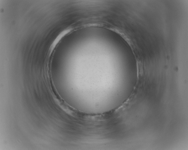 X0000071950147200607282017