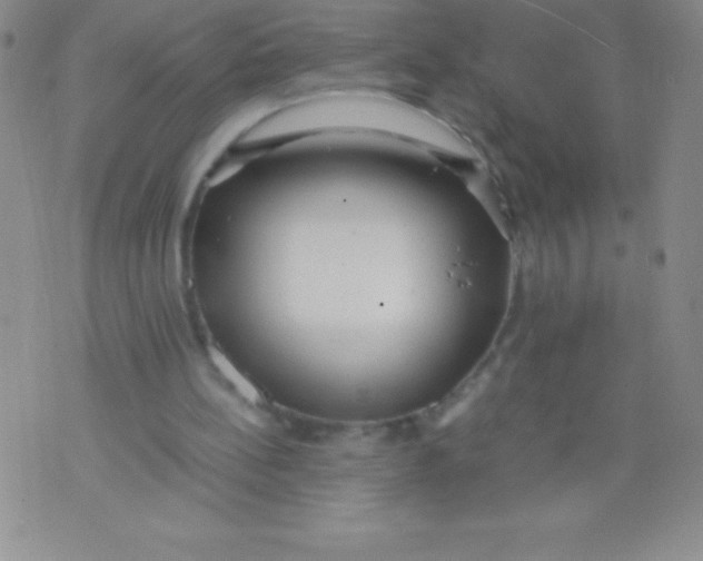 X0000071950148200607282017