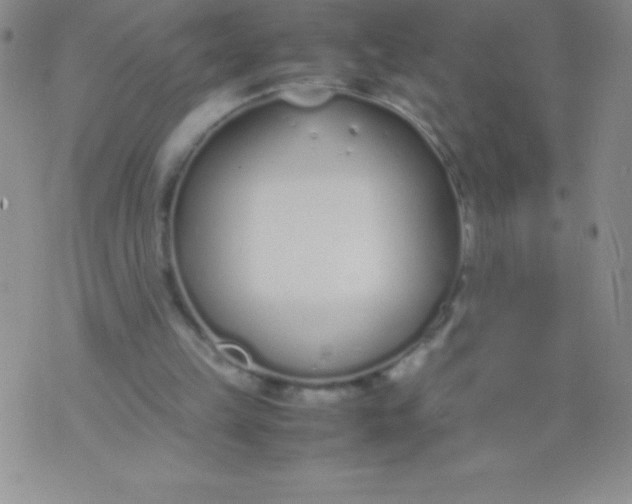 X0000071950149200607282017