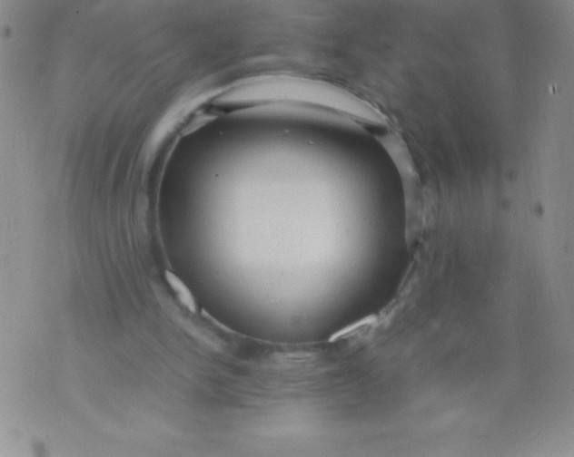 X0000071950150200607282017