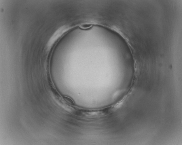 X0000071950151200607282017