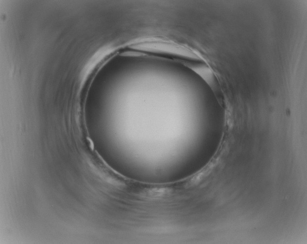 X0000071950152200607282017