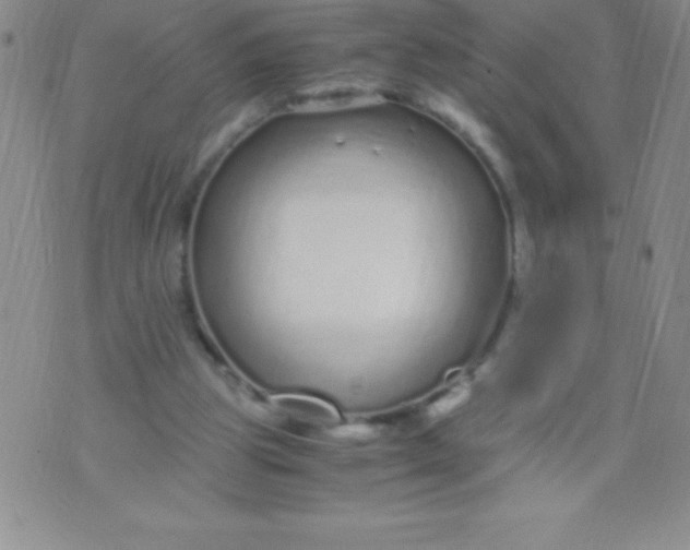 X0000071950153200607282017