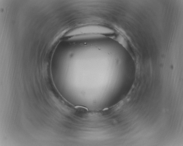 X0000071950154200607282017