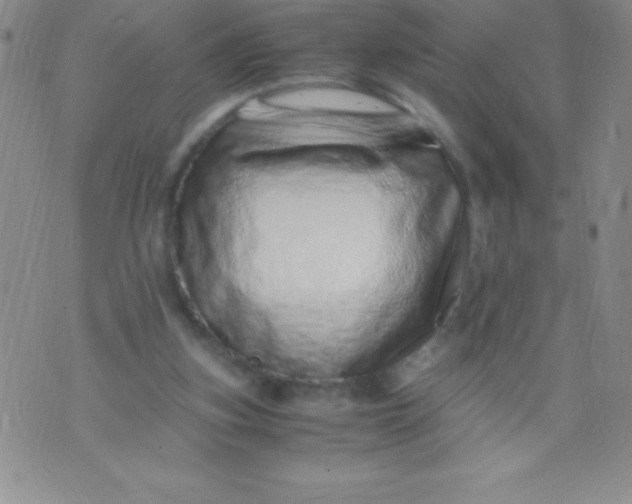 X0000071950155200607282017