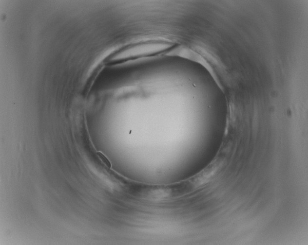 X0000071950156200607282017