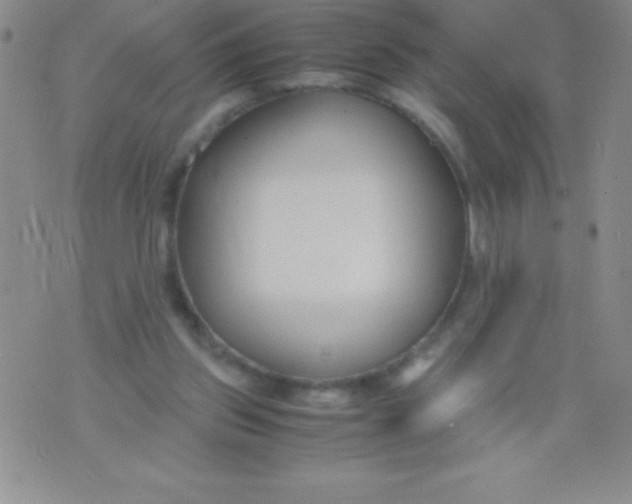 X0000071950157200607282017