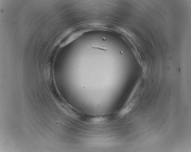 X0000071950158200607282017