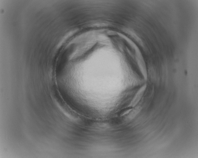 X0000071950159200607282017