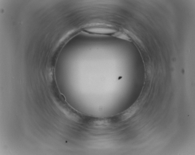 X0000071950160200607282017