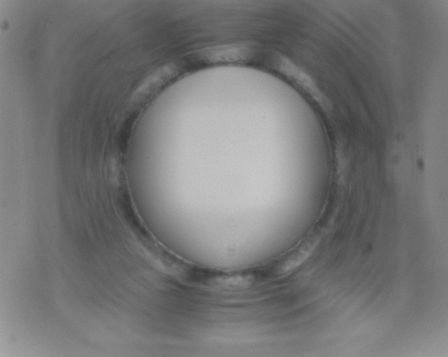 X0000071950161200607282017