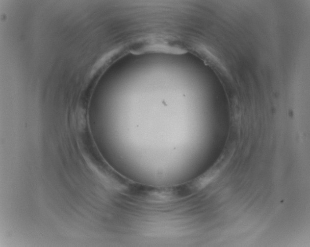 X0000071950164200607282017