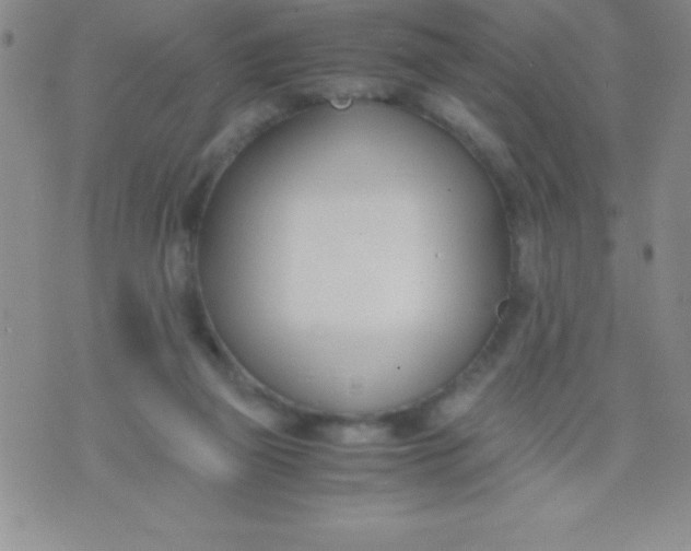 X0000071950165200607282017