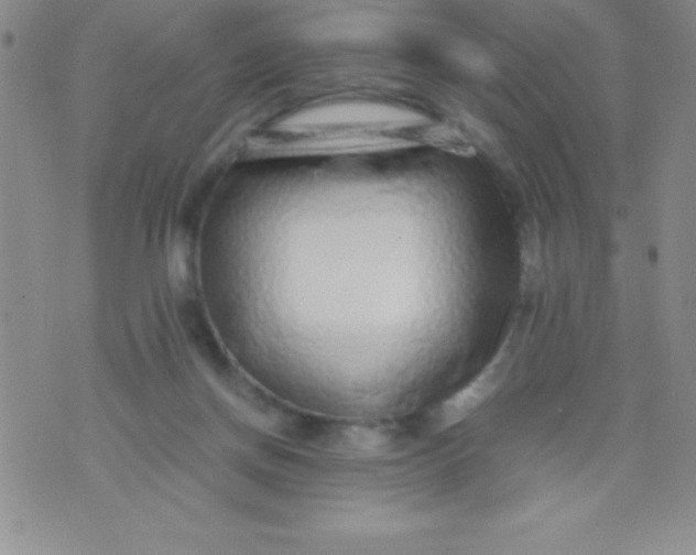 X0000071950166200607282017