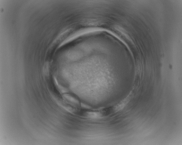 X0000071950167200607282017