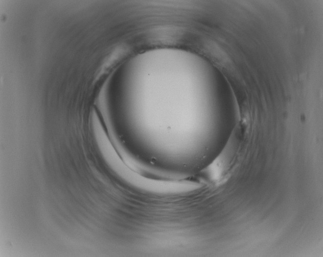 X0000071950168200607282017