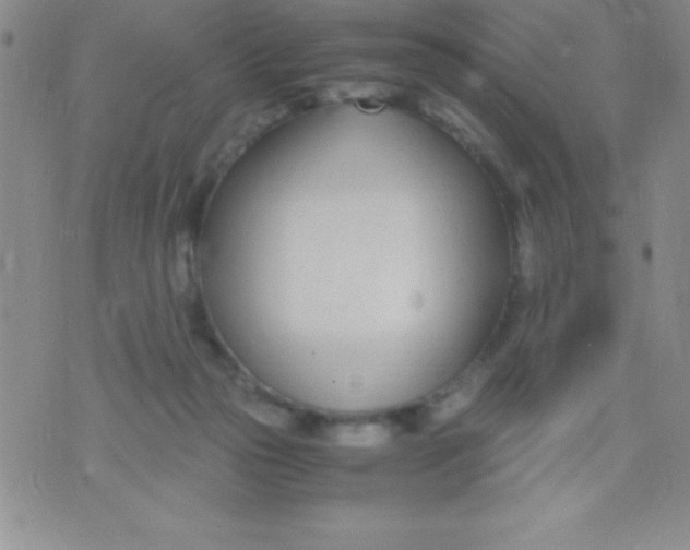 X0000071950169200607282017