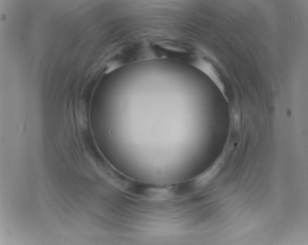 X0000071950170200607282017