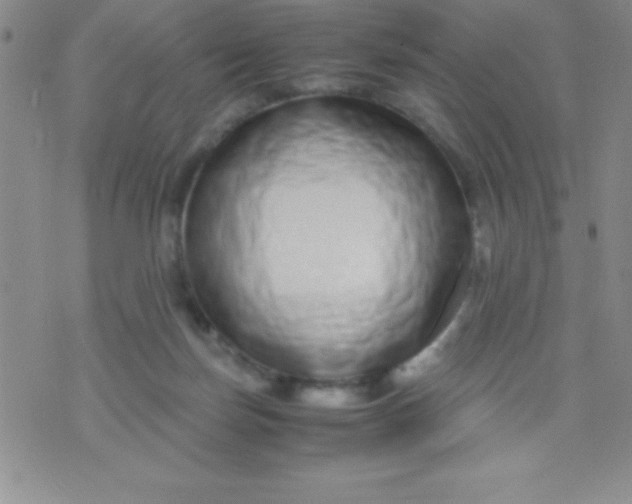 X0000071950171200607282017