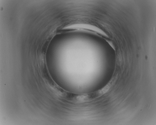 X0000071950172200607282017