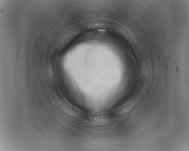 X0000071950173200607282017