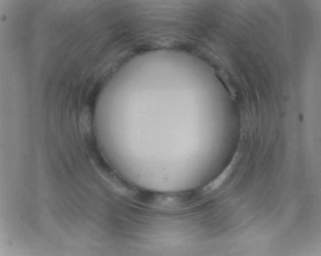 X0000071950174200607282017