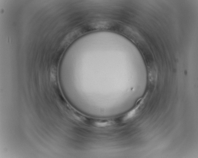 X0000071950175200607282017