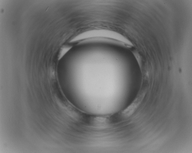 X0000071950176200607282017