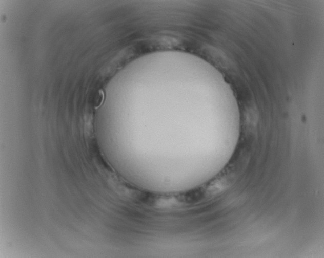 X0000071950177200607282017