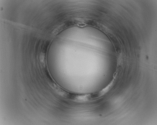 X0000071950178200607282017