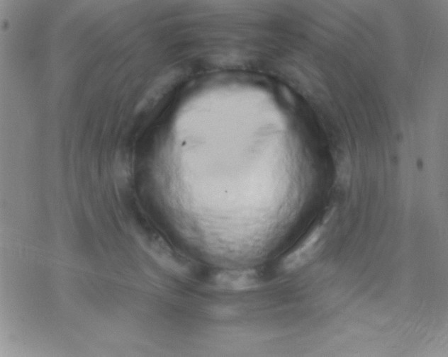 X0000071950179200607282017