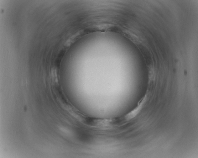 X0000071950182200607282017