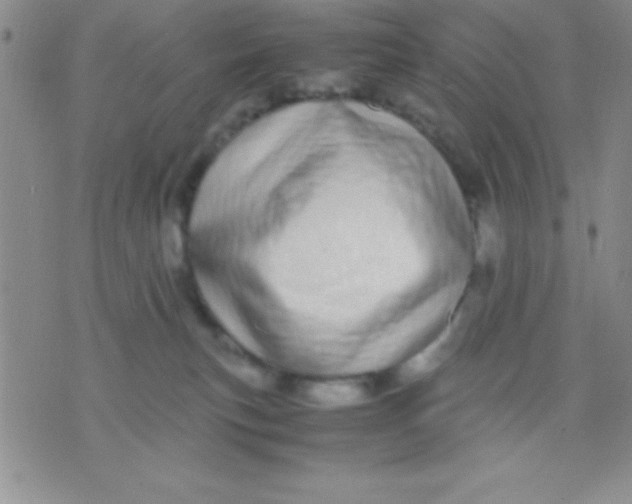 X0000071950183200607282017