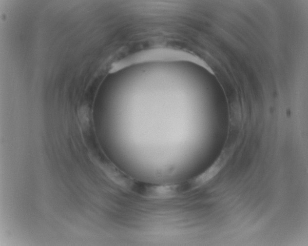 X0000071950184200607282017