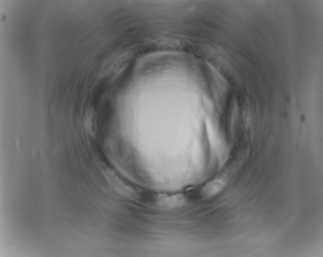 X0000071950185200607282017