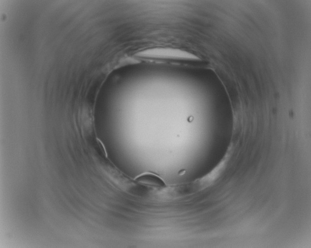 X0000071950186200607282017