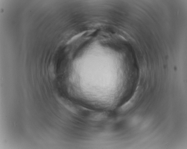 X0000071950187200607282017