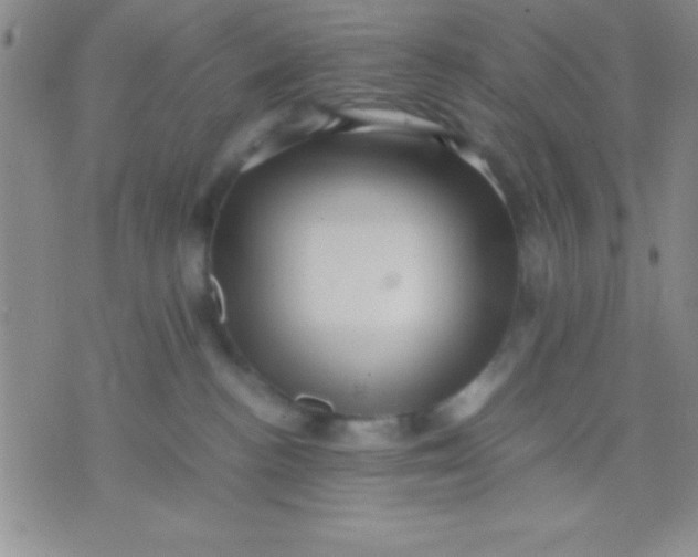 X0000071950188200607282017