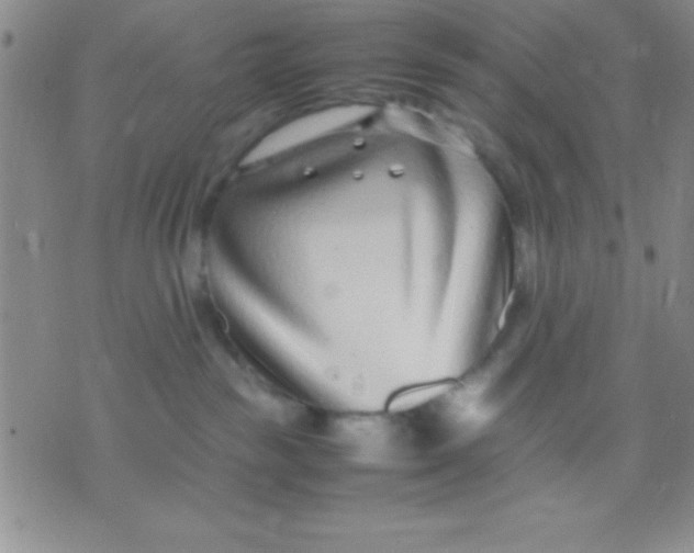 X0000071950189200607282017