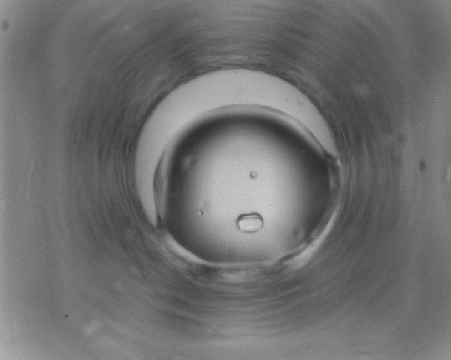 X0000071950190200607282017