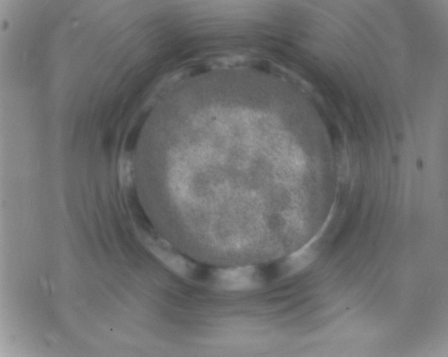 X0000071950191200607282017