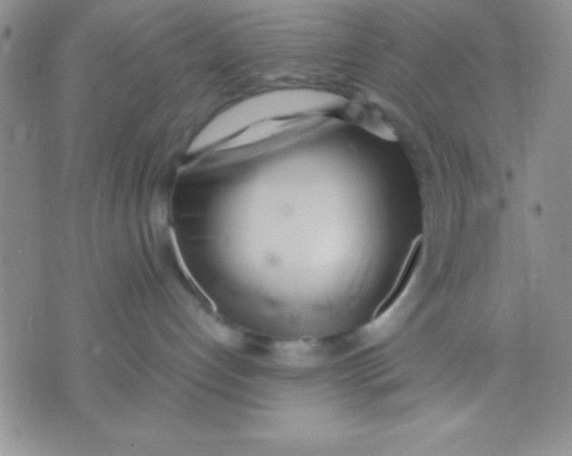 X0000071950192200607282017