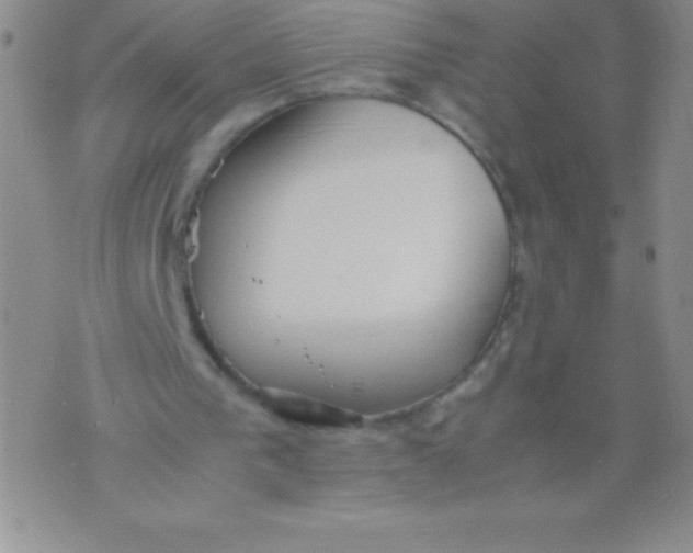 X0000071950193200607282017