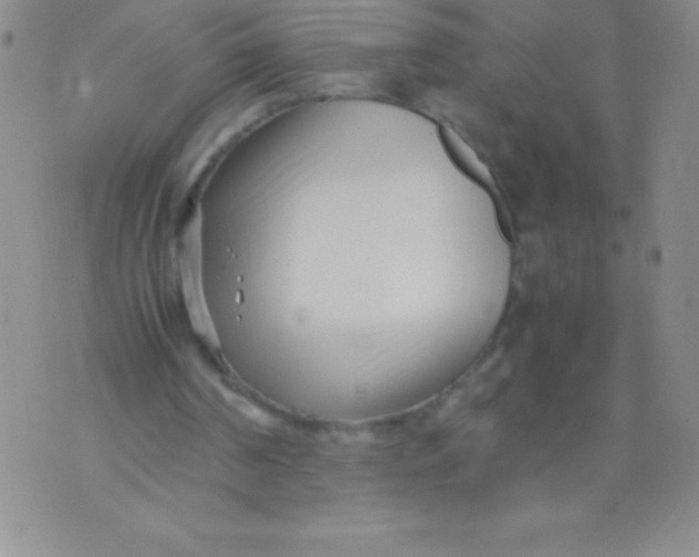 X0000071950194200607282017