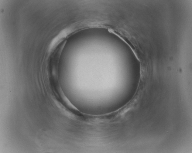 X0000071950197200607282017