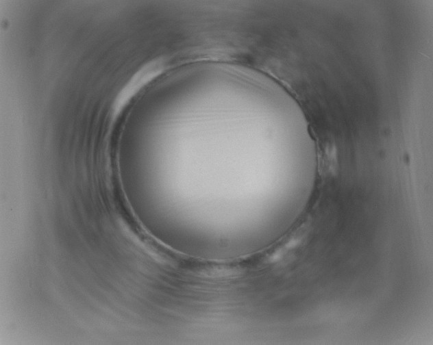 X0000071950198200607282017