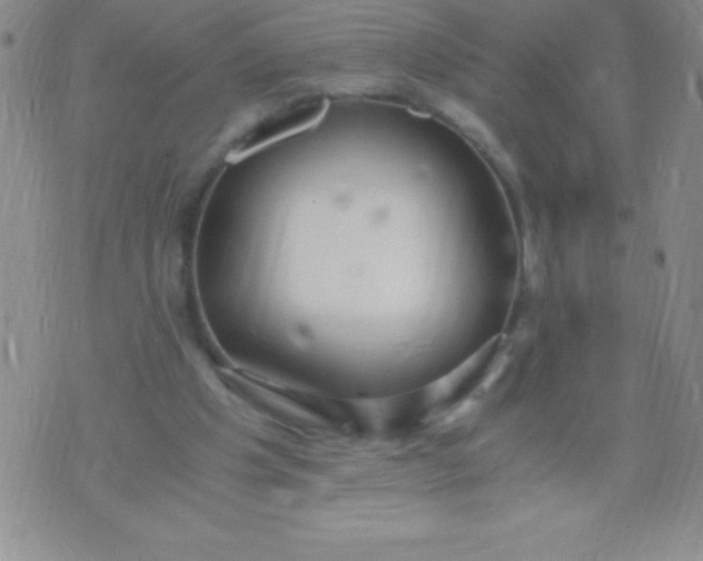 X0000071950201200607282017