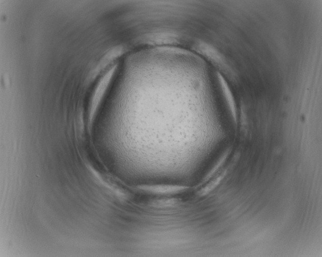 X0000071950202200607282017